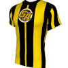 Coach Design